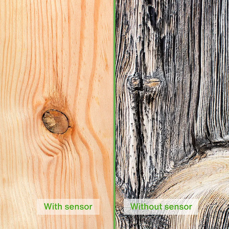 Comparison of wood dried using a sensor and wood dried without a sensor
