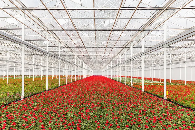 温室中的气候监测