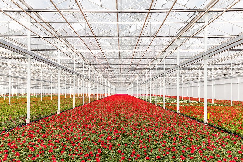 Climate monitoring in greenhouses