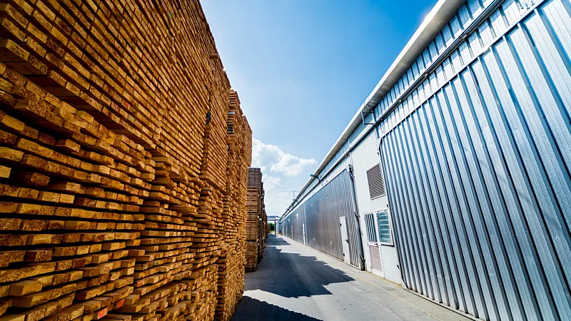 Stacks of kiln-dried timber neatly piled beside a modern industrial drying facility under a clear blue sky.