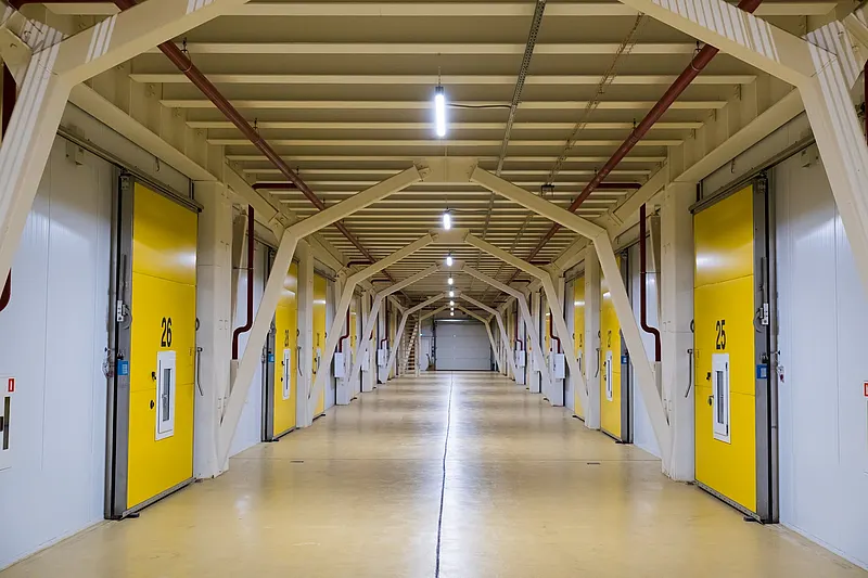 Fruit ripening in ripening chambers