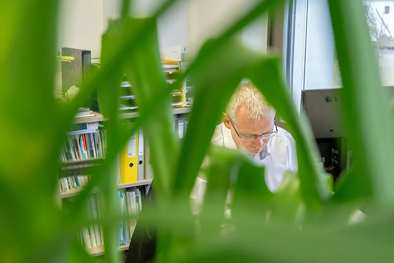 Karl Gusenbauer | Teamleader Market Expertise  | E+E Elektronik