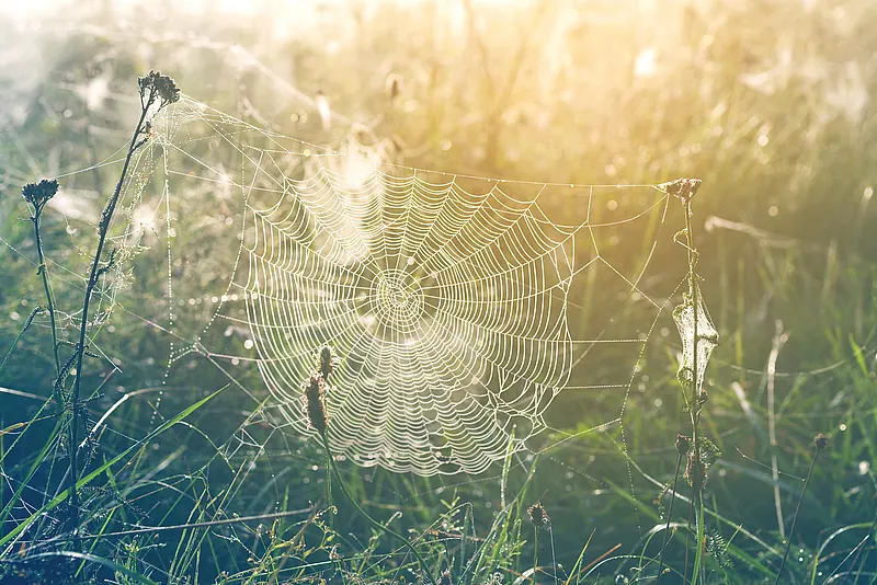 ISO 9001 dew point calibration using traceable reference devices with low Td and normal Td ranges