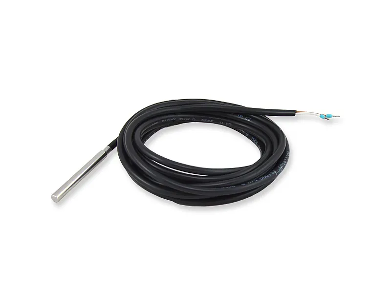 EE461 电缆型温度变送器