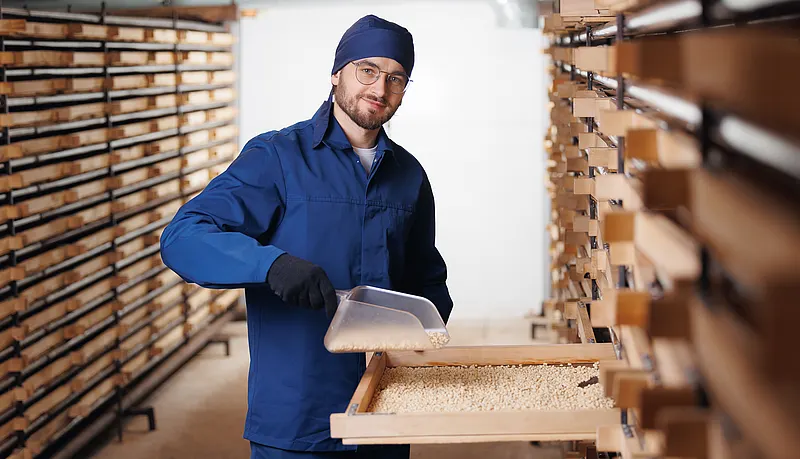 农业干燥设备中，一名工人正在干燥盘上摊平谷物。