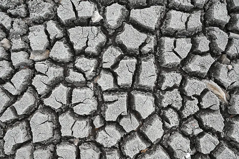 农业干燥处理后污泥的龟裂表面。