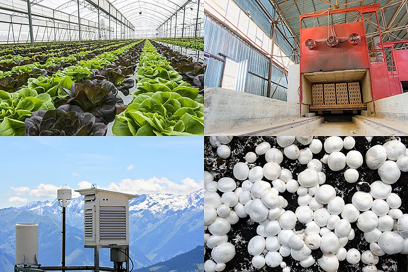 Critical areas of use for humidity sensors Critical areas of use for humidity sensors