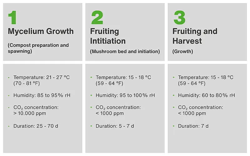 Mushroom cultivation temperature, humidity, and CO₂ requirements across three growth phases: mycelium, fruiting initiation, and harvest.